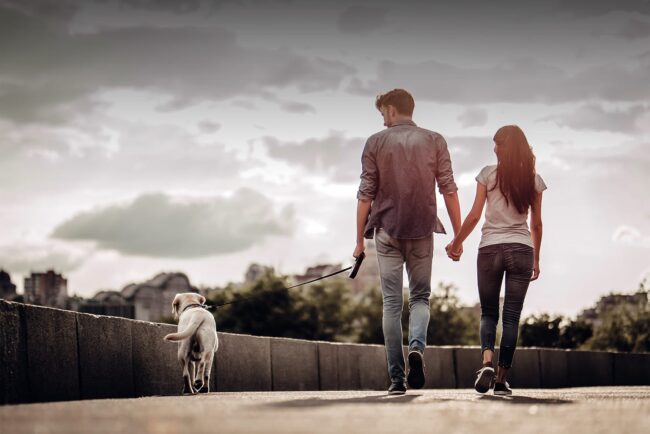 Global-wellnes-day_HP-SALUTE-E-BENESSERE